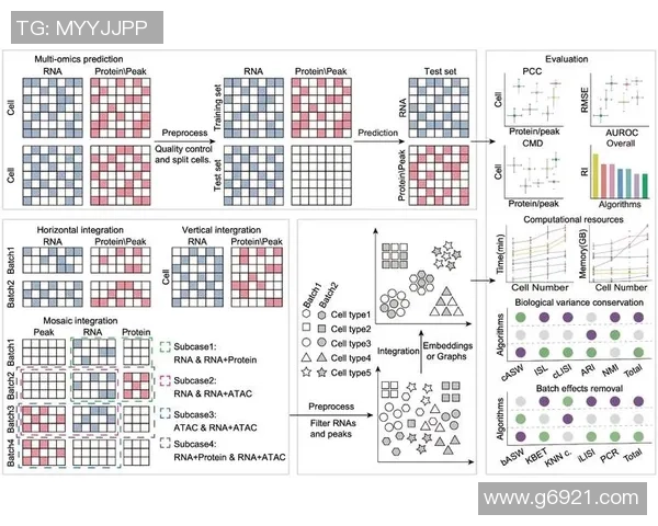 西安街舞队快攻策略分析与表现评估的深度探讨 西安街舞队快攻策略分析与表现评估的深度探讨