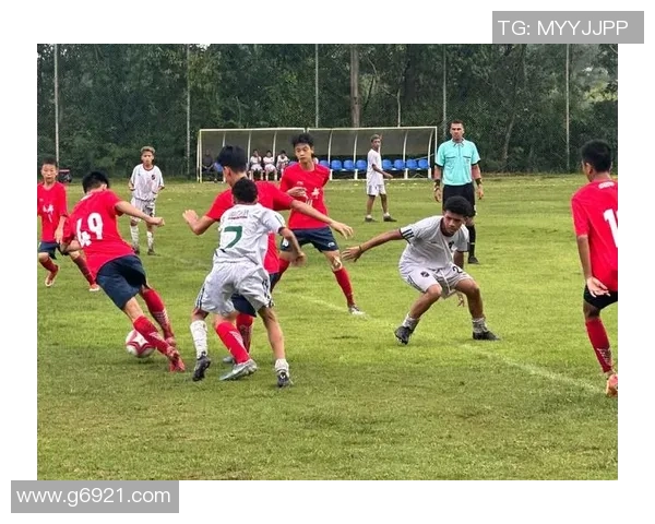 深入分析成都足球队阵地战战术特点与应用策略