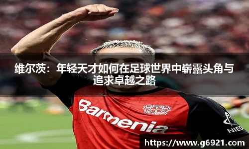 MK体育官网
