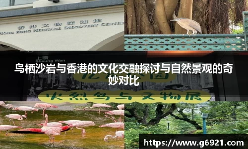 mk体育在线官网